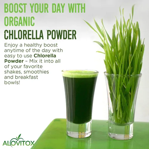 Miniatura 8 de Alovitox Chlorella orgánica en polvo de 8 onzas Superalimento denso en nutrientes con antioxidantes, proteínas, vitaminas C, E, complejo B
