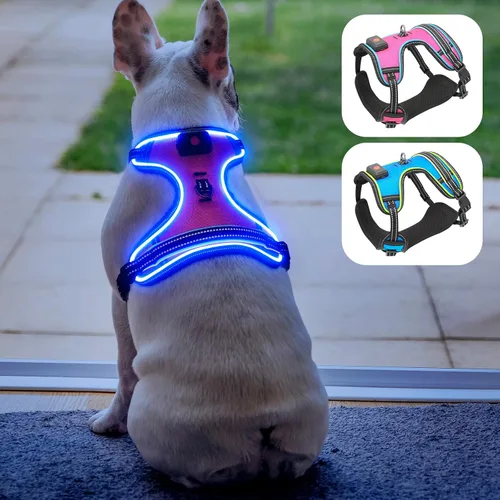 Domi - Arnés de perro con luz, recargable por USB, chaleco reflectante para perro, sin tirar, con un cómodo cha acolchado para perros pequeños,