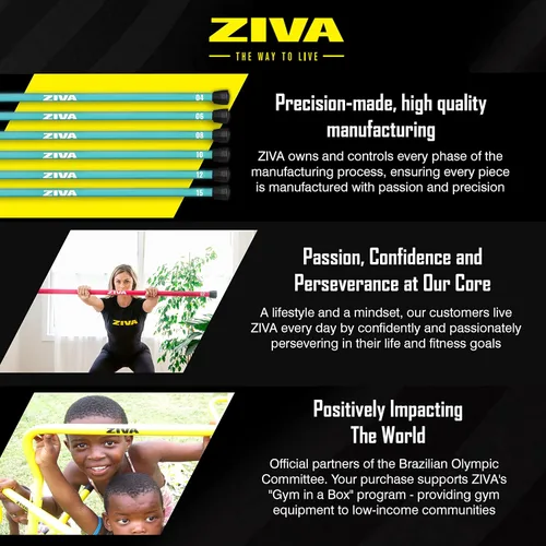 Miniatura 6 de ZIVA Chic - Barra con peso – Barra corporal de entrenamiento para entrenamiento de fuerza, equilibrio, flexibilidad y fitness general – Núcleo