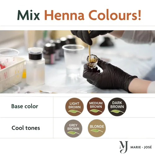 Miniatura 6 de Marie-José - Tinte de henna profesional para teñir manchas, cubre el cabello gris, retoque de raíz, bueno para 50 aplicaciones (juego de 5 colores)