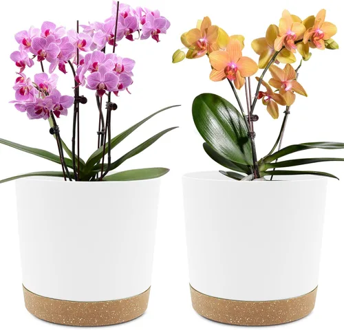 QCQHDU Maceta de 8 pulgadas, paquete de 2 macetas para plantas de interior con agujeros de drenaje y platillo, macetas para exteriores, decoración
