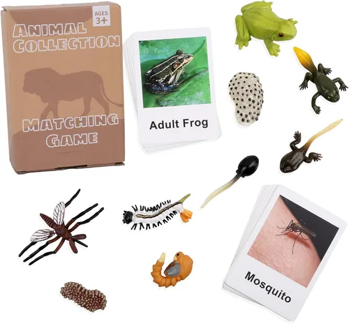 Miniatura 9 de MEROCO Juguetes de ciclo de vida de pollo para niños, insectos, hormigas, insectos, juguetes para niños de 3 a 5 años, tarjetas de animales
