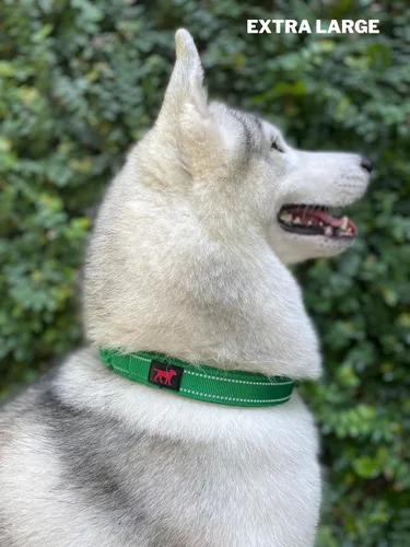 Miniatura 7 de Tuff Pupper Collar de perro resistente con asa Collar de nailon balístico resistente Collar de perro reflectante acolchado con herrajes de acero