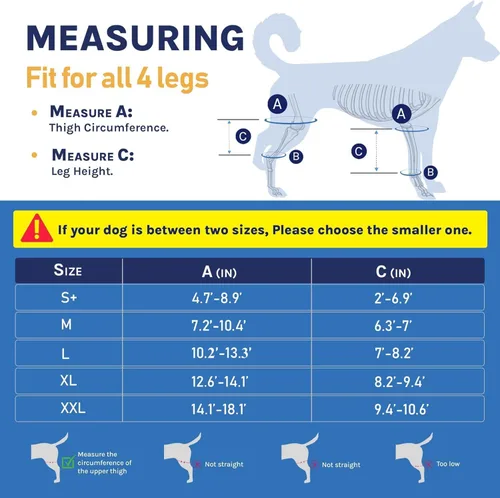 Miniatura 2 de Rodillera de perro para patas traseras y traseras, soporte para lesiones del ligamento cruzado anterior, CCL y ligamento cruzado, artritis