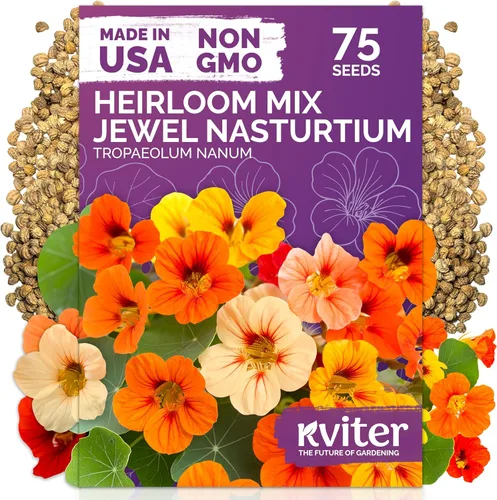 Miniatura 9 de KVITER 1600 semillas de pensamiento de los gigantes suizos para plantar (Viola wittrockiana) - Paquetes de semillas de colores mixtos Flores