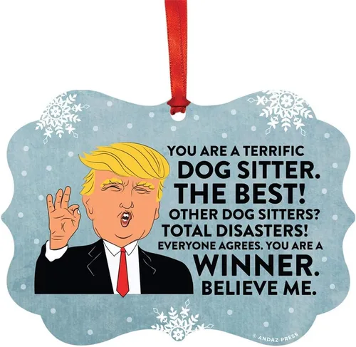 Miniatura 146 de Andaz Press Presidente Donald Trump Fancy Frame Recuerdo Adorno de Navidad Regalo de broma Ejecutivo de Cuenta, 1 paquete, Divertidas Ideas