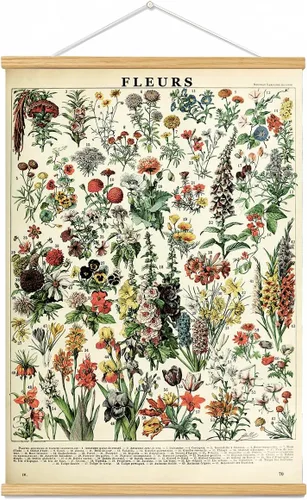 Marco para colgar pósteres de flores vintage, tabla de referencia floral de plantas, decoración de pared, decoración de habitación, estética, planta