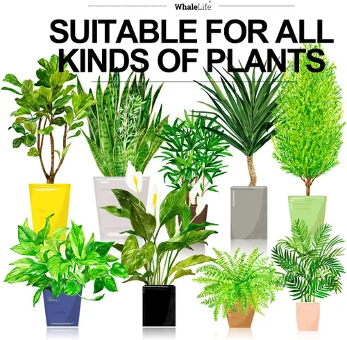 Miniatura 3 de WhaleLife Regadera interior para plantas de bonsái de casa (2.0L, azul)