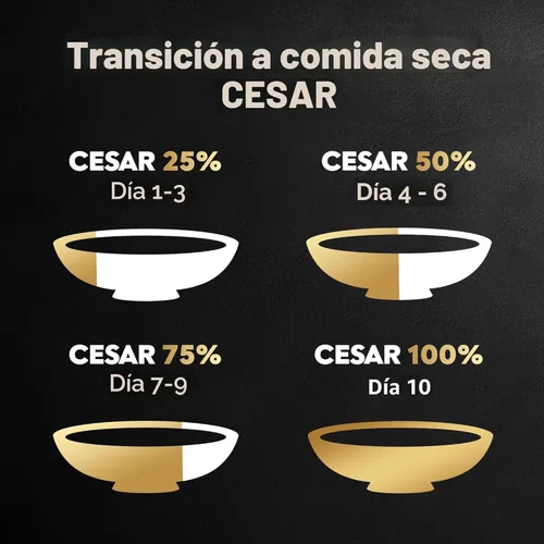 Miniatura 8 de Comida para perros de raza pequeña seca Cesar