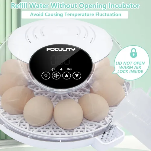 Miniatura 3 de Incubadora de huevos para incubar pollos, capacidad para 12 huevos, girador automático de huevos con temperatura, pantalla de humedad, vela