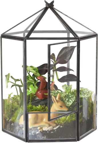 Miniatura 11 de ELEGANTLIFE Terrario geométrico de cristal para plantas suculentas, maceta de aire para decoración del hogar, jardín, oficina (casa negra)