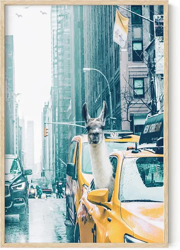 Miniatura 9 de RipGrip Decoración de dormitorio de llama y arte de pared de llama, pósteres para habitación de niños, bonitos pósteres para dormitorio