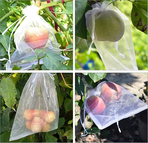 Miniatura 5 de 100 bolsas de malla de frutas de organza de 6 x 8 pulgadas, bolsas de protección de frutas con cordón, bolsa de barrera de red para plantas de Blanco