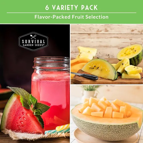 Miniatura 4 de Variedad de semillas de melón – 6 semillas autóctonas de melón cantalupo, melón y sandía para plantar – con Honey Rock, Hale’s Best, Tendersweet