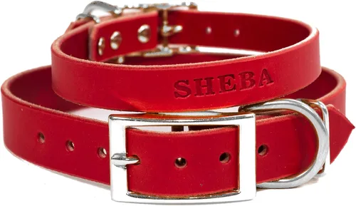 Miniatura 9 de Collar de perro de cuero de brida personalizado hecho a mano, nombre de mascota grabado, herrajes en tono níquel/plateado (marrón desgastado)