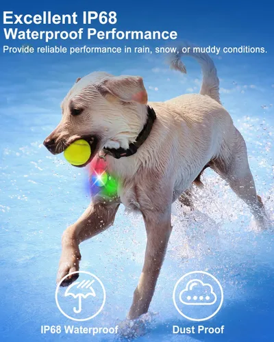 Miniatura 4 de Paquete de 2 luces para collar de perro, luces recargables para perro para caminar de noche con clip, collar LED impermeable de 4 modos para correr