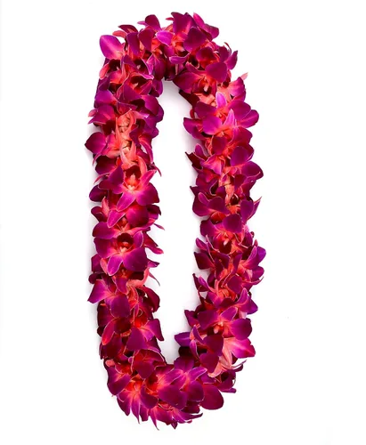 Miniatura 7 de Miami Fresh Orchid Flower OrchidClub USA Sunne Tropical Loose Bloom Head DIY Lei Food Drink Decor RED (50 rojo VALENTÍN)
