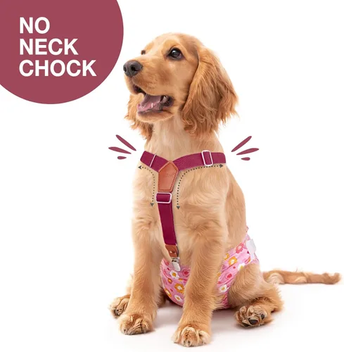 Miniatura 2 de Pet Soft Tirantes para perras, 2 piezas de tirantes para pañales para perros, falda para perros, vestido para perrito (color marrón y borgoña, M/L)