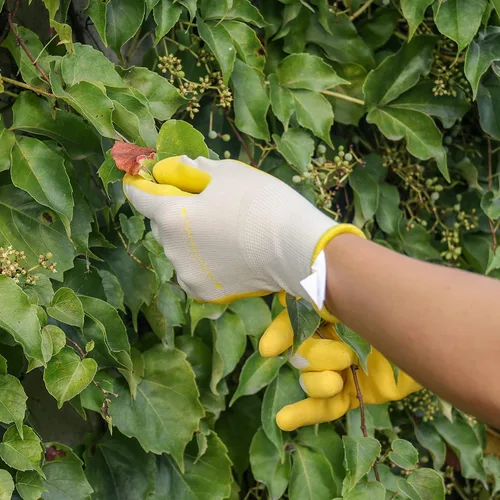 Miniatura 5 de HANDLANDY Guantes de jardinería para mujer, 3 pares de guantes de trabajo transpirables con revestimiento de nitrilo, el mejor regalo para mujeres