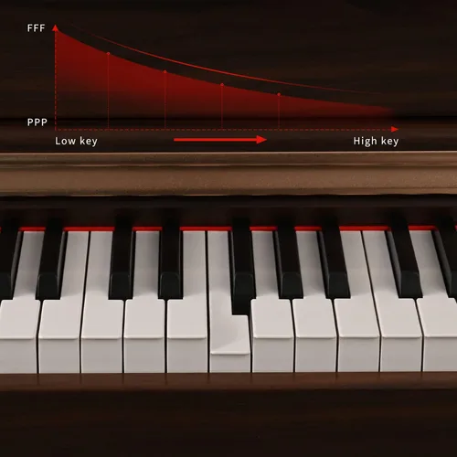 Miniatura 2 de Piano digital de 88 teclas con teclado de tamaño completo y teclas completamente ponderadas, teclado de piano acústico profesional con martillo