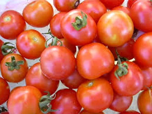 Miniatura 4 de Tomate, semillas de tomate cherry grandes dulces, reliquia, 20 semillas, sabroso, ideal para ensaladas