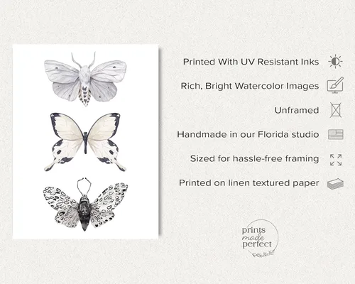 Miniatura 2 de Arte de pared de mariposas - Decoración de mariposas blancas y negras - Impresión artística de acuarela - 11 x 14 - Póster sin marco Negro & blanco