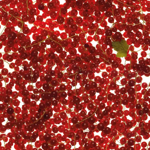 Miniatura 4 de Difusor de fragancia para el hogar Black Pepper 1L
