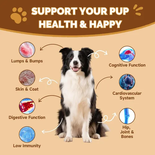 Miniatura 3 de Hongos para perros – Seta de cola de pavo para perros – intestino, piel, articulaciones, salud inmunológica – Bultos y protuberancias de perro – 13