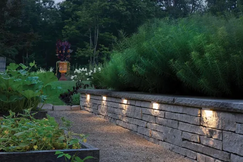 Miniatura 7 de Hinkley Landscape Lighting Nuvi 15446TT-10 - Juego de 10 luces medianas para paisaje, aleación de vinilo, carcasa de perfil bajo, soporte de Titanio