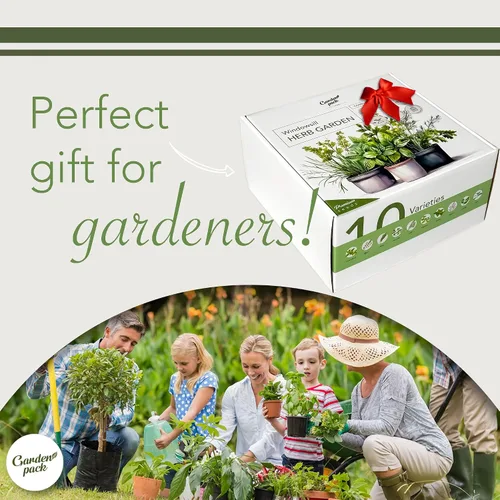 Miniatura 6 de Garden Pack Jardín de hierbas para ventana interior de 10 hierbas, incluye macetas, bandejas y tierra comprimida para un fácil cultivo de hierbas
