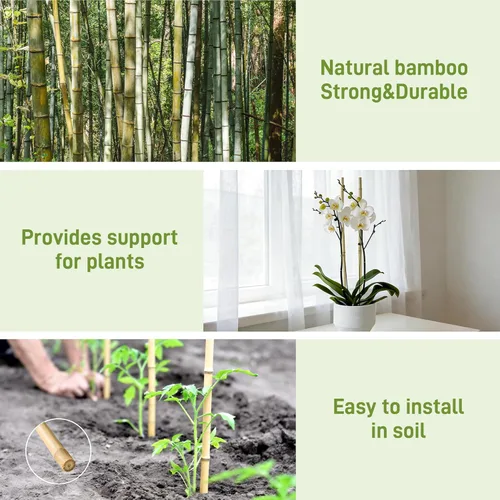 Miniatura 3 de Estacas de jardín de 0,32"-0,4"/ 4 pies, varillas de bambú natural para plantas de interior y exterior, postes para tomates, frijoles, plantas