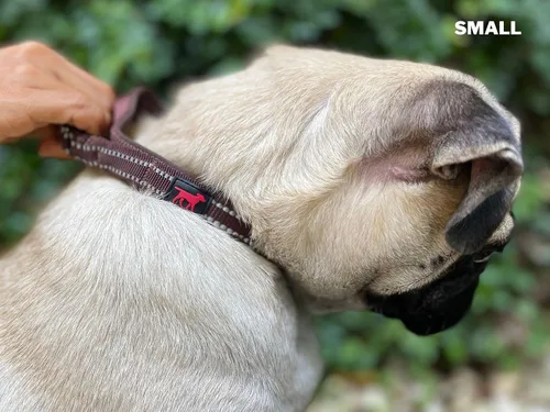 Miniatura 6 de Tuff Pupper Collar de perro resistente con asa Collar de nailon balístico resistente Collar de perro reflectante acolchado con hardware