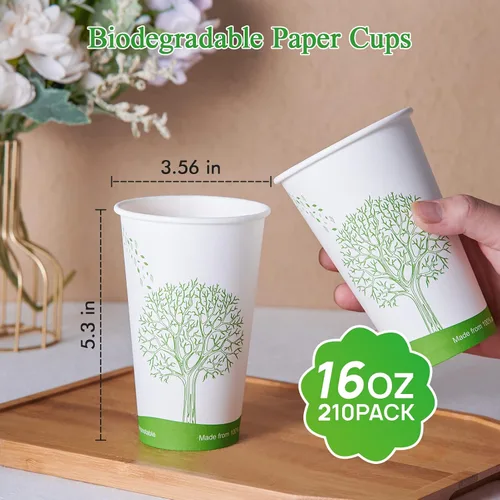 Miniatura 5 de ECOLipak 210 tazas compostables de 16 onzas, vasos de papel desechables biodegradables con forro de ácido poliláctico (PLA), tazas de café de papel