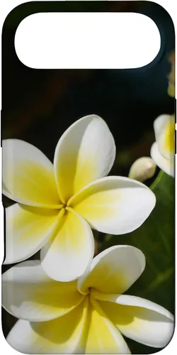 Miniatura 27 de iPhone 12/12 Pro Plumeria Flower - Carcasa amarilla