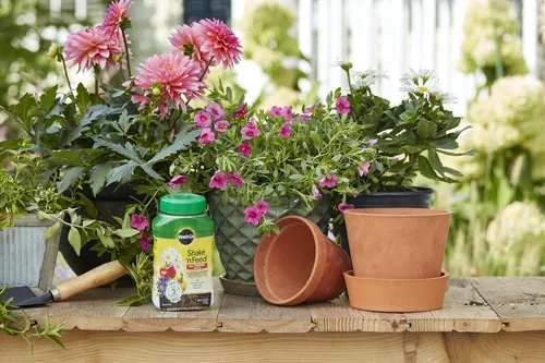 Miniatura 5 de Miracle-Gro Shake 'N Feed - Alimento vegetal multiusos, fertilizante para plantas, 1 libra (paquete de 6)