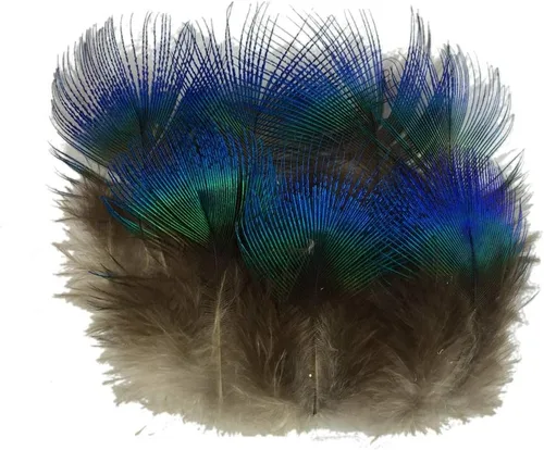 Sowder 50pcs plumas de plumaje de pavo real azul 1-3 pulgadas decoración casera boda