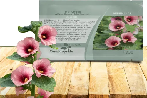 Outsidepride Halo Hollyhock Seeds – 50 piezas de semillas de flores perennes de albaricoque, tolerantes a la sequía de larga duración con flores