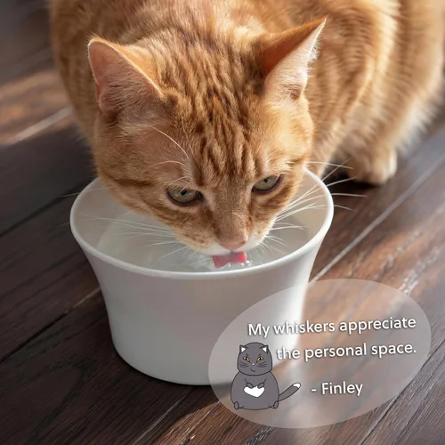 Miniatura 4 de Cuencos elevados para agua para gatos – Cuenco elevado para gatos de interior – Platos para gatos poco profundos con bigotes y cuello – Altura