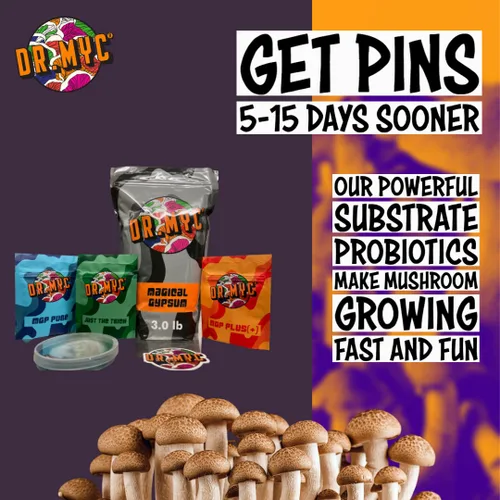 Miniatura 3 de DRMyc. com - MGP Plus - Promotor de crecimiento para sustratos de hongos. MGP aumenta la velocidad de colonización, rendimientos, tamaño de fruta
