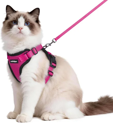 Miniatura 14 de rabbitgoo Juego de arnés y correa para gatos, arnés a prueba de escapes para paseos seguros al aire libre, chaleco suave transpirable ajustable