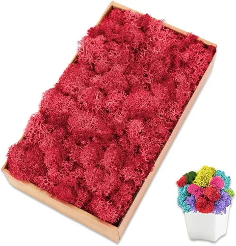 Miniatura 36 de Musgo de reno amarillo preservado de 3.5 onzas para plantas en maceta, decoración artesanal para arte de pared, musgo falso para decoración