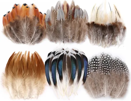 Miniatura 11 de Larryhot White Craft Feathers - 240 plumas naturales mixtas de 6 estilos para bodas, fiestas en casa, suministros de atrapasueños y manualidades