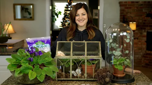 Miniatura 3 de Espoma Mezcla de tierra orgánica natural y premium para violetas africanas y todas las plantas de interior con flores. Para jardinería orgánica.