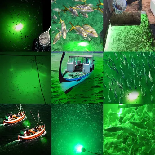 Miniatura 4 de SAMDO IP68 Lámpara LED submarina de 12V para pesca, luz de 1080 lúmenes que atrae peces, luz para pesca nocturna de 10.8W Verde