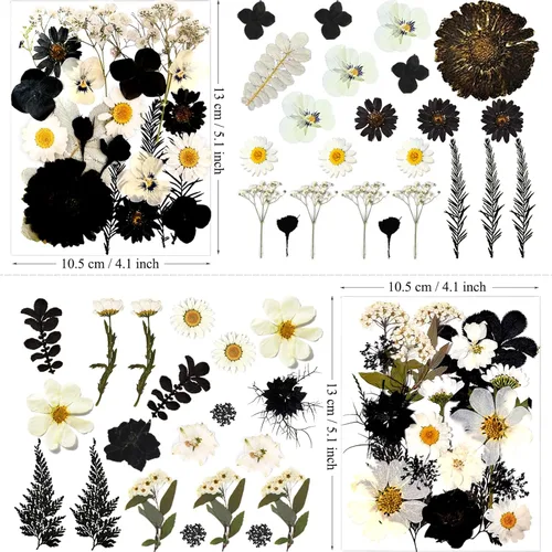 Miniatura 6 de MIKIYA 90 piezas de flores secas prensadas negras para moldes de resina, hojas florales secas a granel naturales reales para manualidades de arte