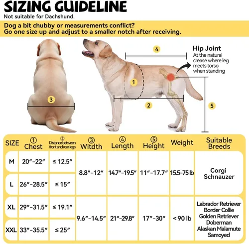 Miniatura 3 de Silla de ruedas para perros para patas traseras, grande, pequeña, silla de ruedas para perros, carritos ajustables para perros con ruedas para patas