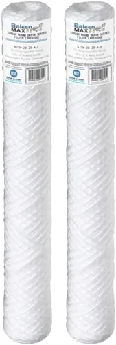 Baleen Filters - Paquete de 2 cartuchos de filtro de sedimentos para heridas de cuerda de 20 x 2.5 pulgadas de 20 micrones para HDX SWC-25-2020,