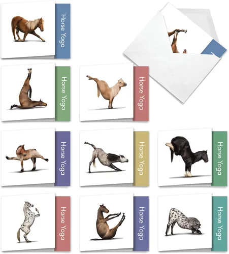 Miniatura 8 de The Best Card Company - 10 tarjetas de notas de yoga en blanco (4 x 5.12 pulgadas) - Tarjetas de notas en caja con sobres, tarjetas de animales