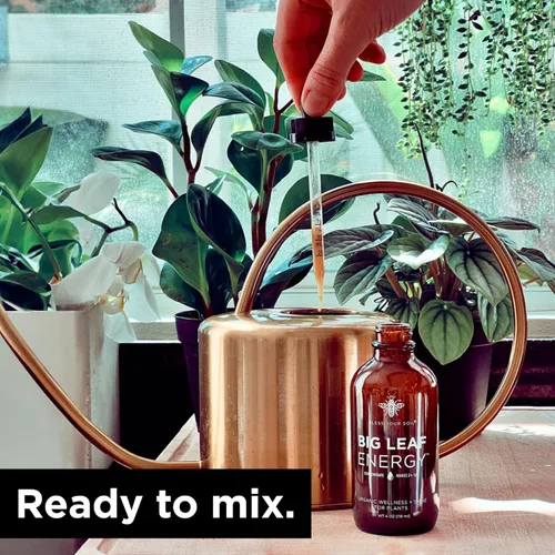 Miniatura 4 de Big Leaf Energy, Concentrado de Aceite de Neem + Aceites Esenciales para Plantas y Cuidado de Hojas - Orgánico, Sin OGM, Listo para Mezclar