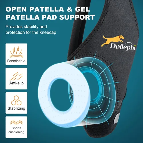 Miniatura 3 de Rodillera para perro para pierna trasera desgarrada del ligamento cruzado anterior, soporte para luxación de rótula u osteoartritis, lesiones